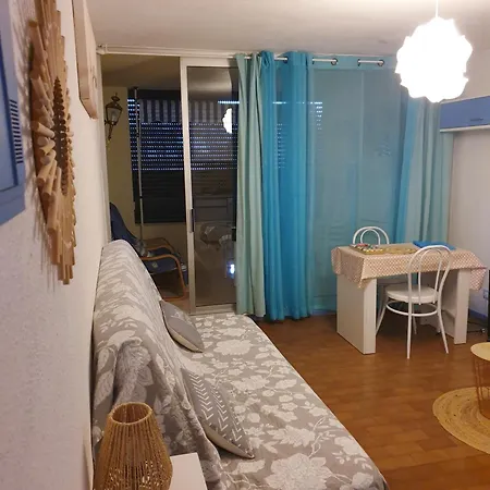 - Piscine - Parking - Proche Richelieu Appartement Agde